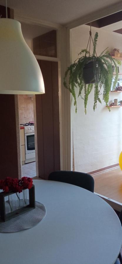 Branysol Apartman Novi Sad Eksteriør bilde