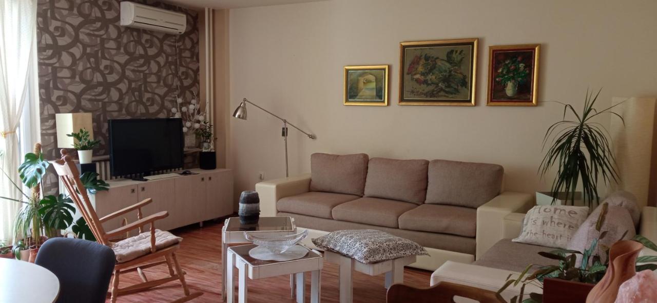 Branysol Apartman Novi Sad Eksteriør bilde