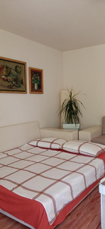 Branysol Apartman Novi Sad Eksteriør bilde
