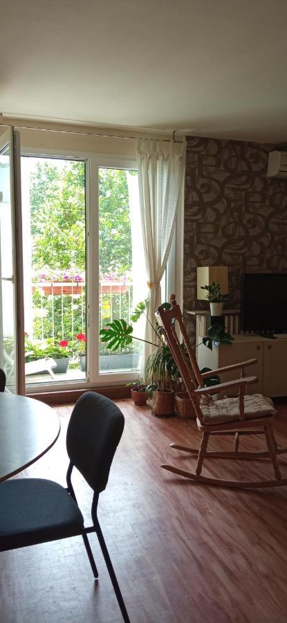 Branysol Apartman Novi Sad Eksteriør bilde